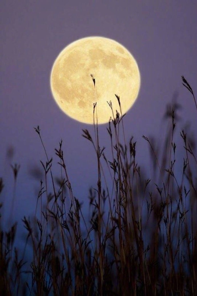 海中月是天上月,眼前人是心上人