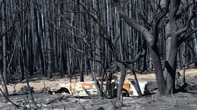 烧死10亿动物,烧毁21%森林,澳洲野火预示地球正被推向危险边缘
