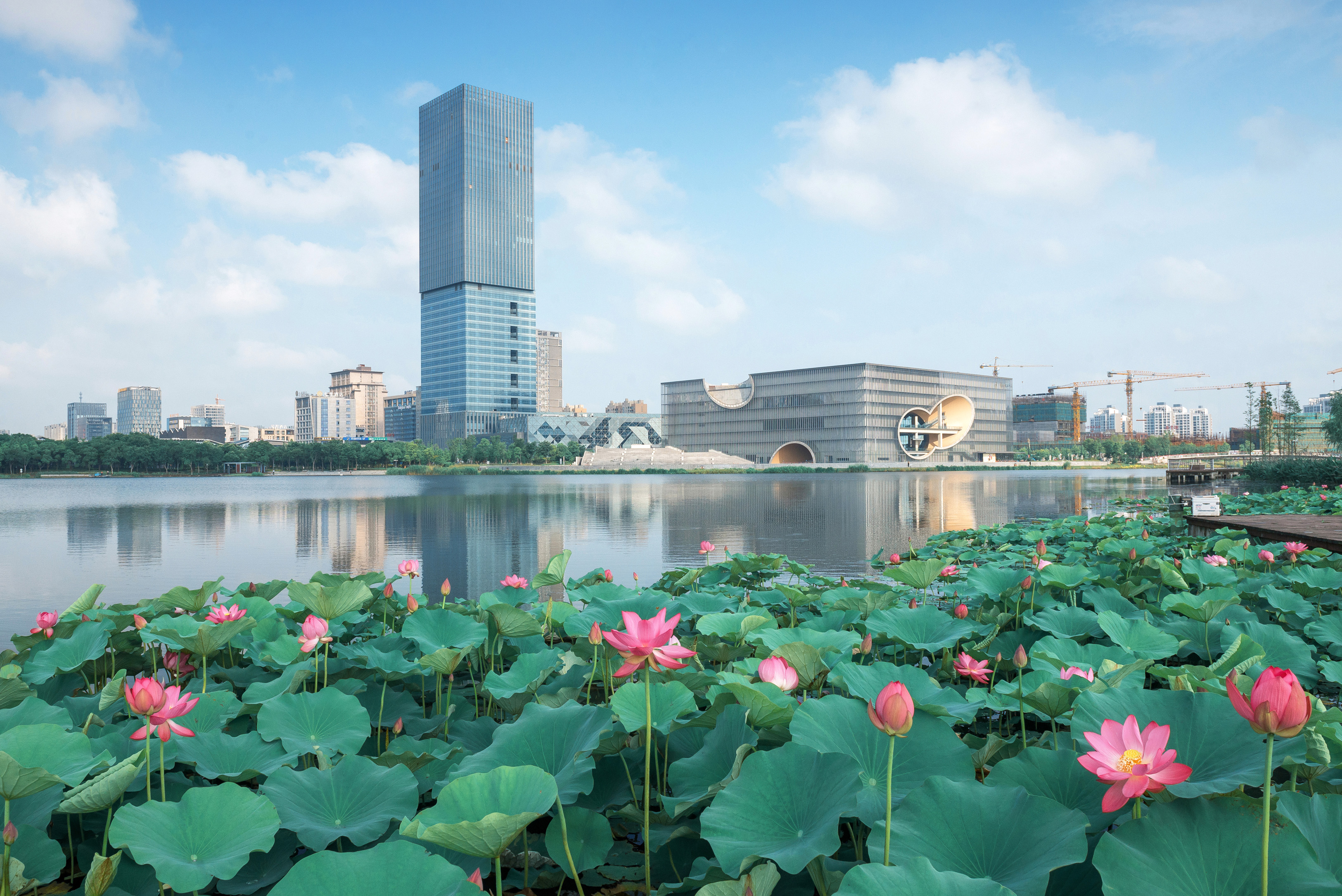 上海嘉定城区景色(2017年6月14日摄).
