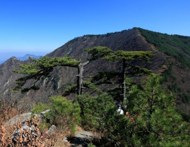 集高,雄,峻,特为一体,大别山白马尖真的好漂亮!