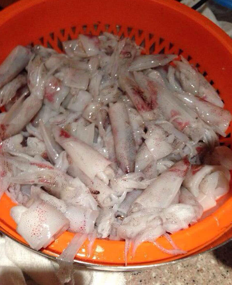 墨鱼筒 - 2020年最新商品信息聚合专区 - 百度爱采购