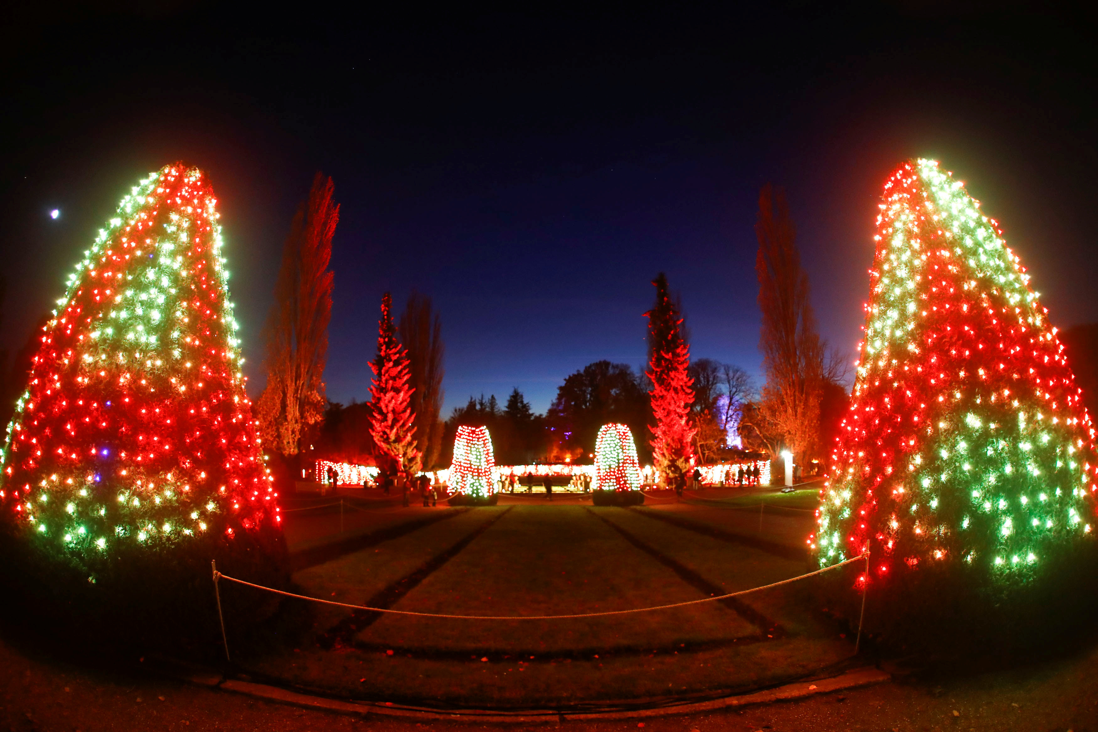 "柏林圣诞花园"灯光秀开幕(2)