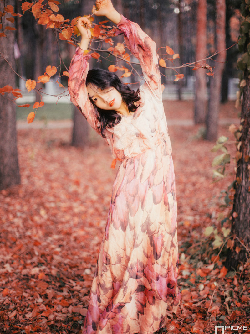 美图摄影:秋悄无声息的到来 叶依依不舍的离开!