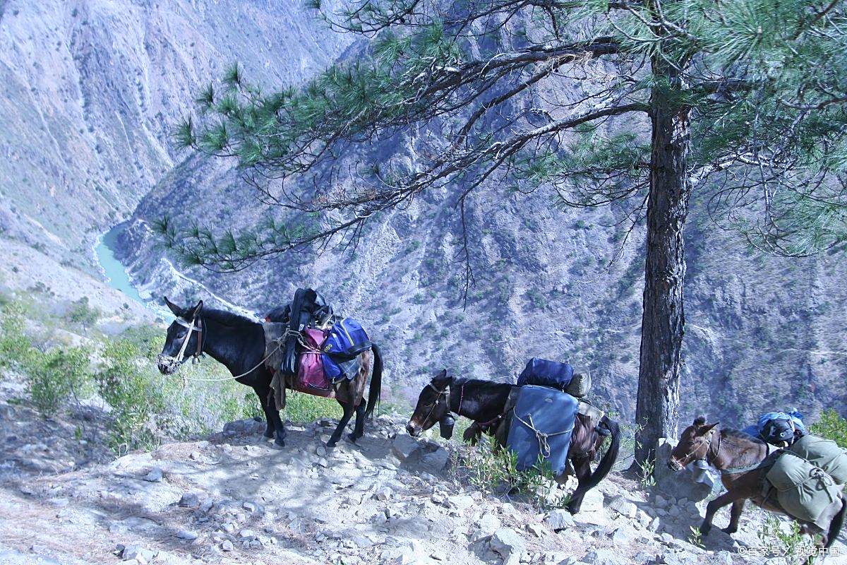 独家村,一种孤独的生存模式