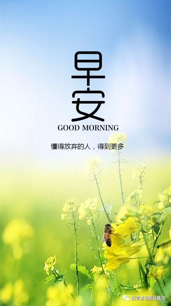 群发朋友圈问候朋友的早上好早安的漂亮祝福图片来了丨早安祝福小心语