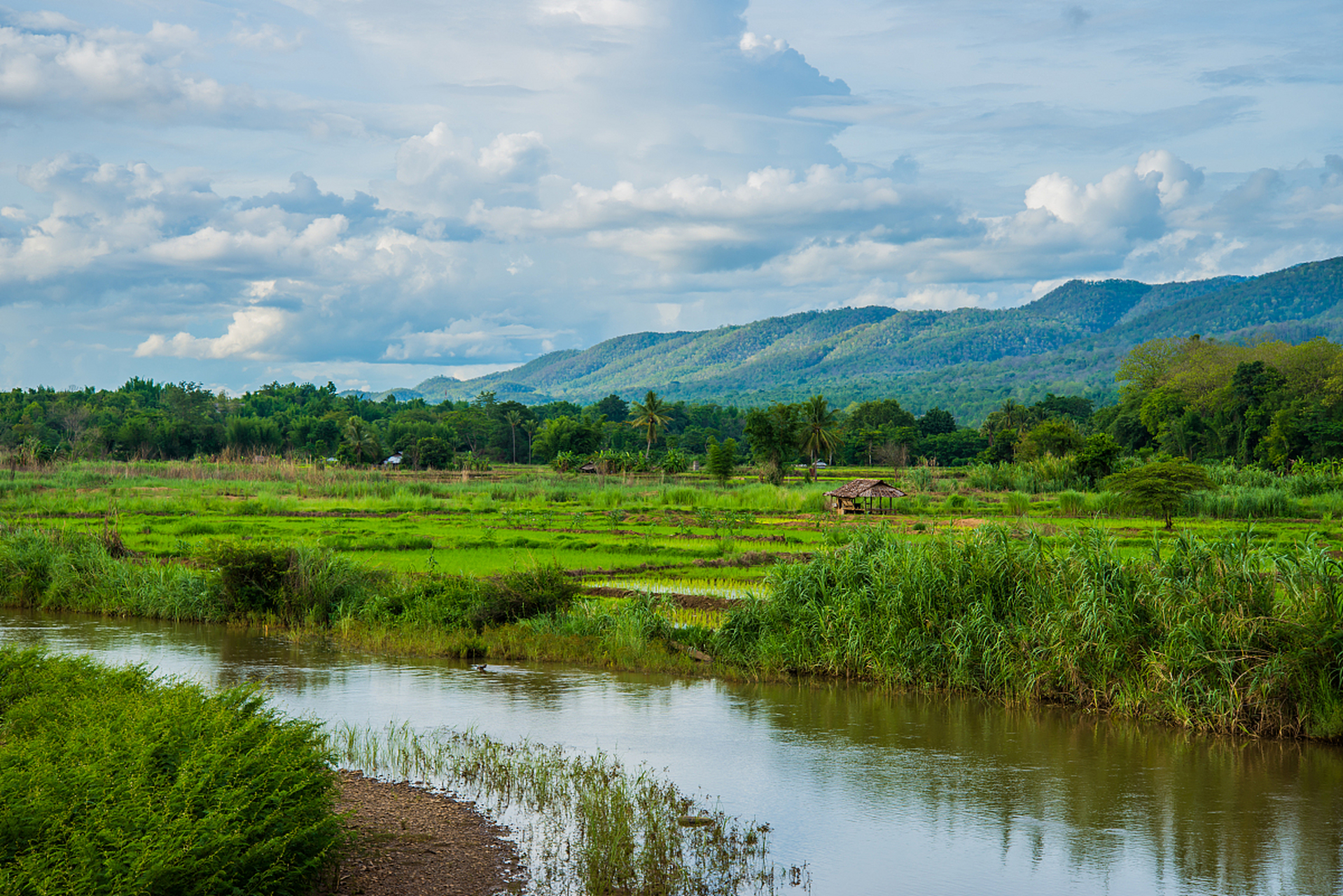 弥勒市是云南西北部的旅游胜地,拥有五大必去景点:胜境公园,三塔风景