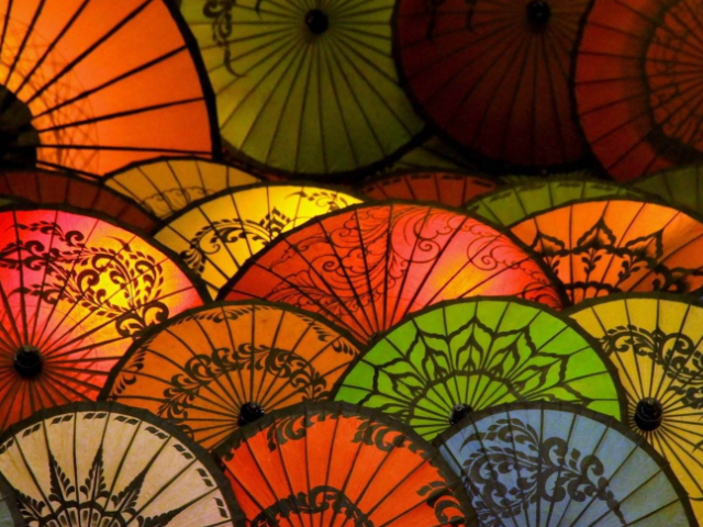 由五色组成的不同风俗,不仅有生活,还有动物