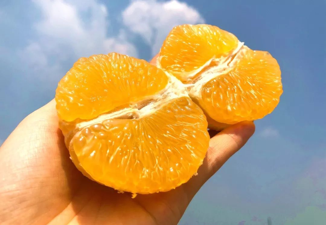 一口吸一个的果冻橙,这个网红橙爱媛38到底是什么神仙水果?