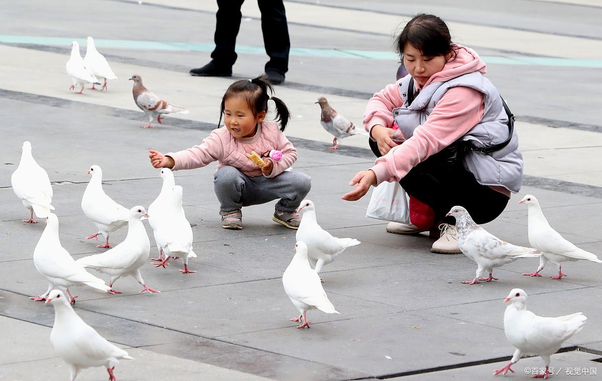 幼儿早教到底学什么？重点是培养学习的专注力！