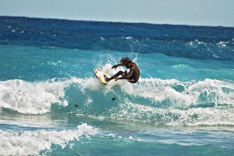 牙买加,波特兰10大热门景点和活动!