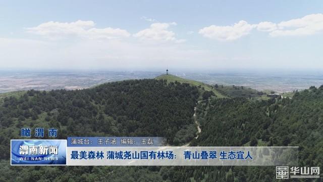 蒲城尧山镇图片