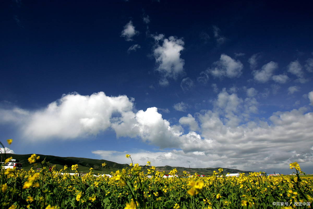 青海牧区风景美丽如画