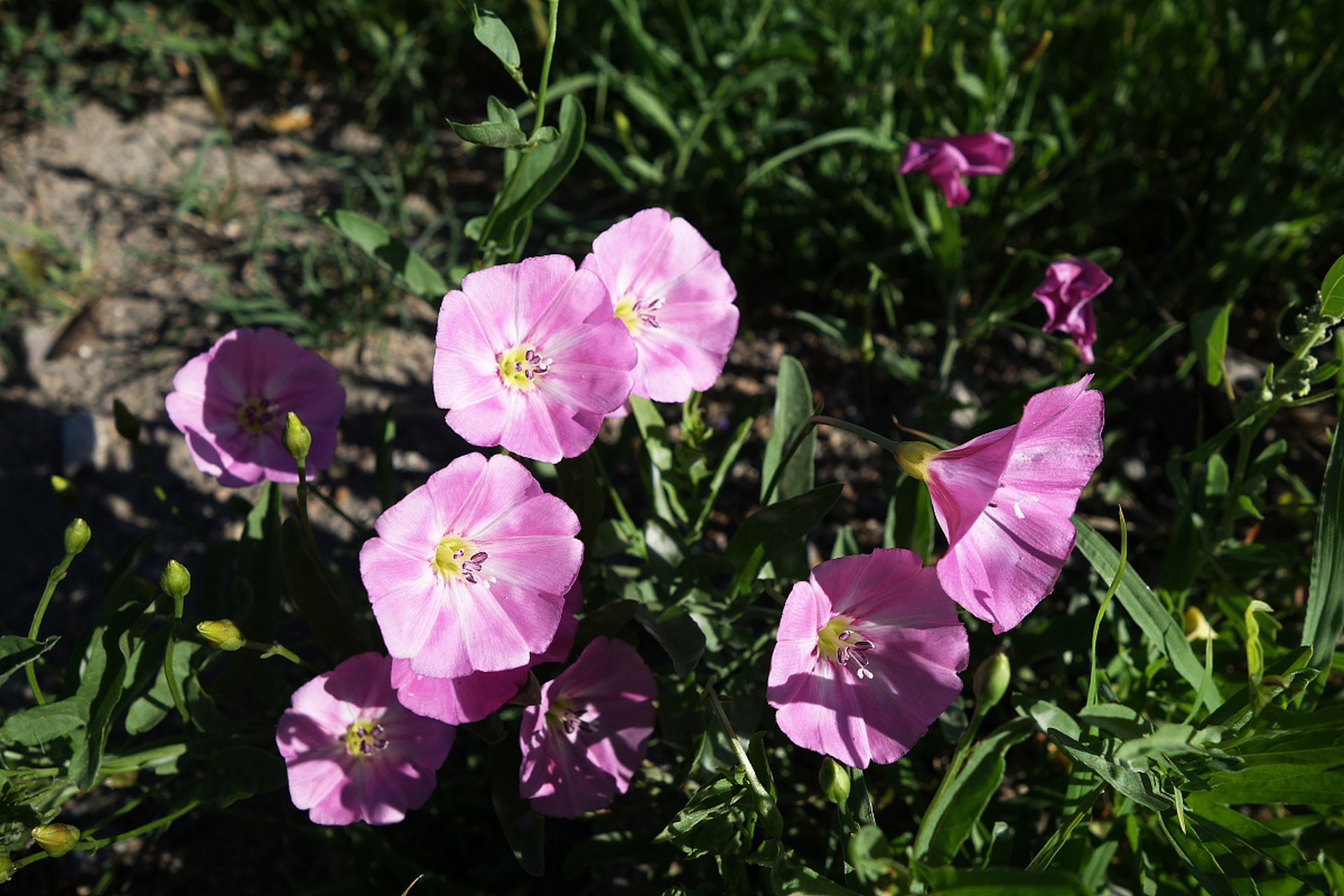 孙子兵法:什么钱最好赚  1,男人---好色的钱 2