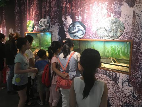 儿童节到省博物馆看"灵蛇出洞"24条活体蛇现场展出