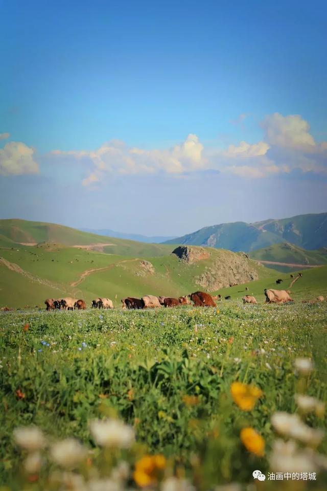 夏天的塔尔巴哈台山 新疆最美的地方之一