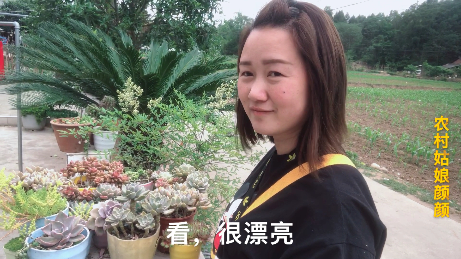 上盆后放在露天不管的多肉,我们一起来看看长成什么样子了?