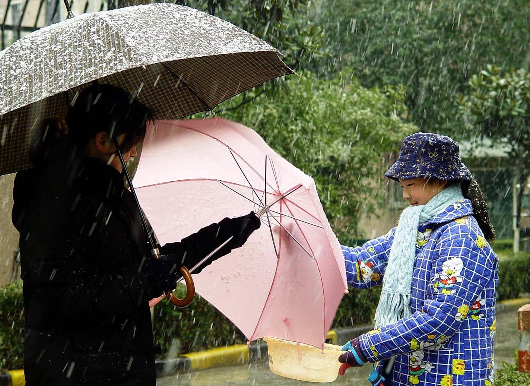 下雨了,才知道谁会给你送伞;遇事了,才知道谁对你真心.