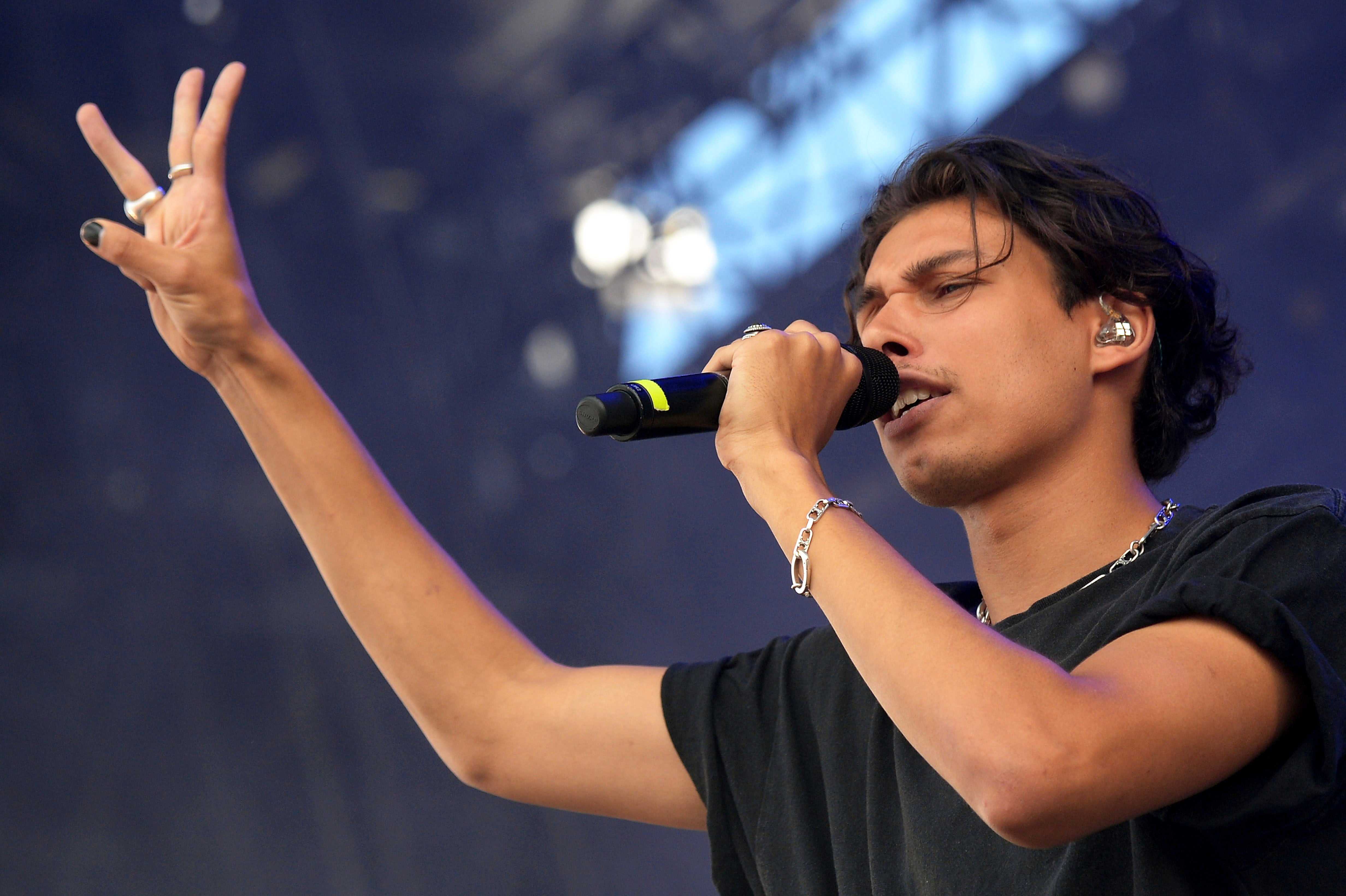 2019法国les vieilles charrues音乐节(19)