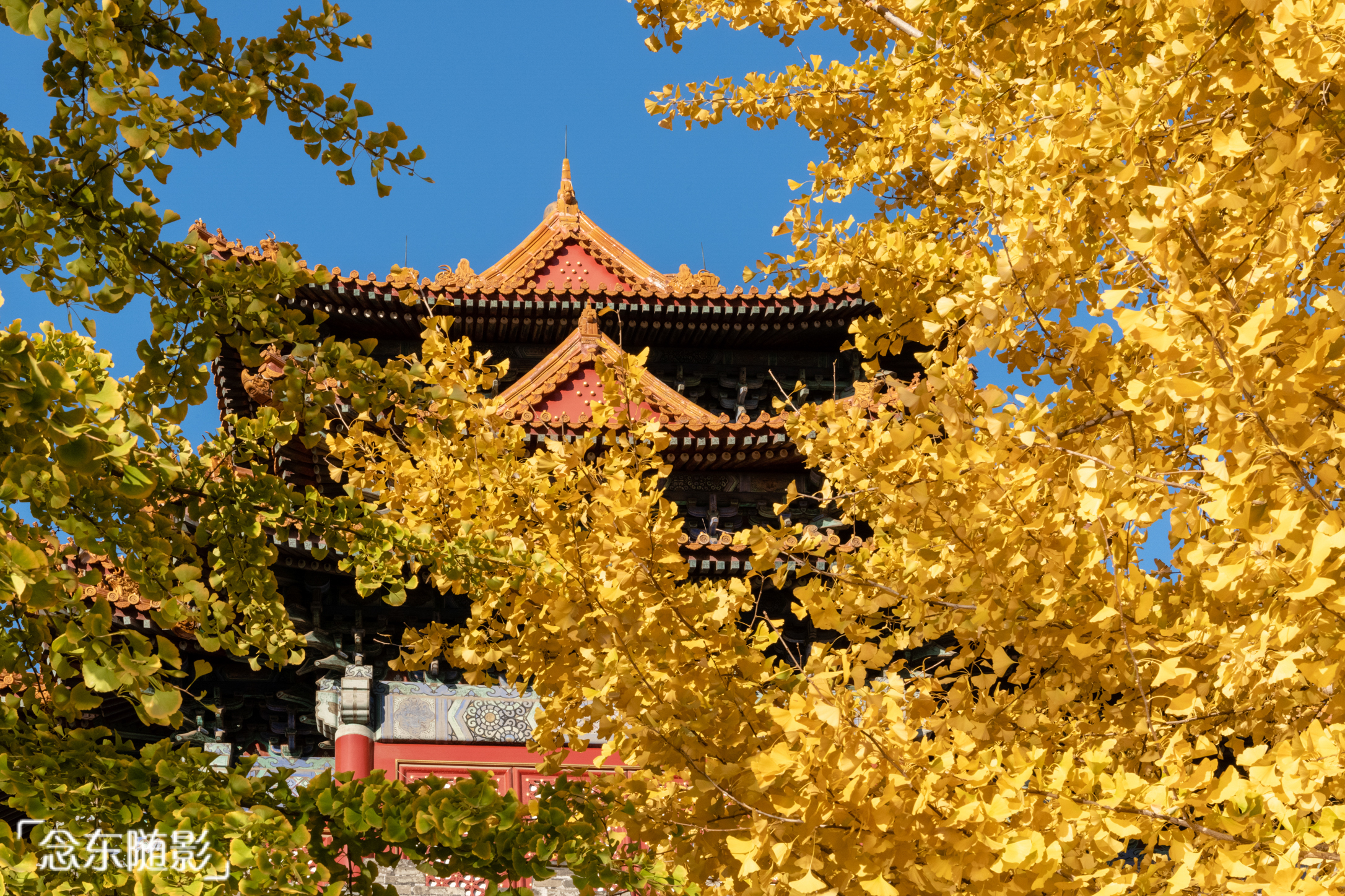 北京故宫深秋的样子 皇家气派中多了一份秋的意境