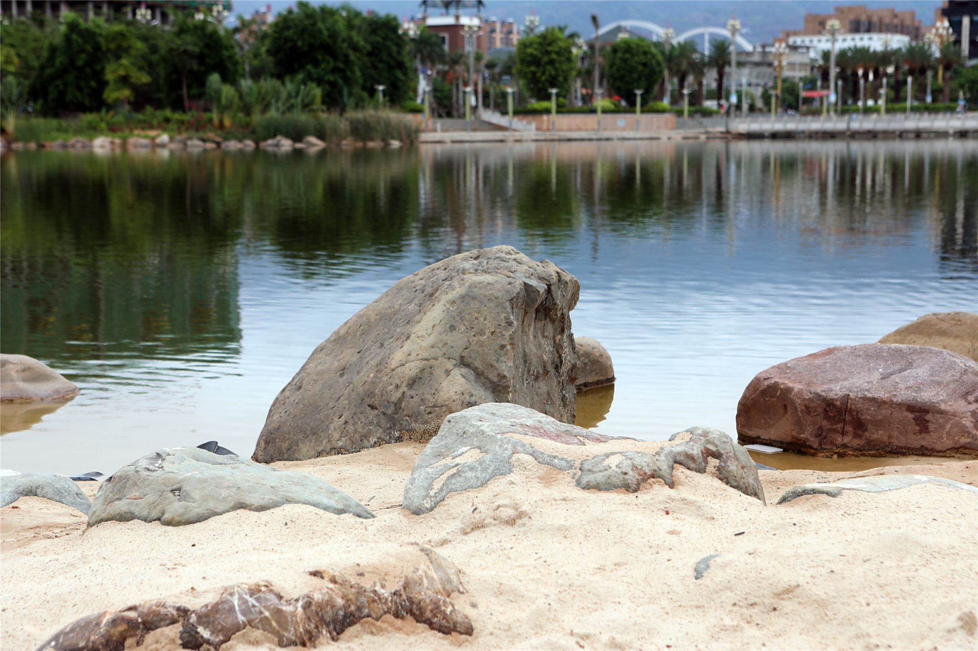 元谋故事|凤凰山传说