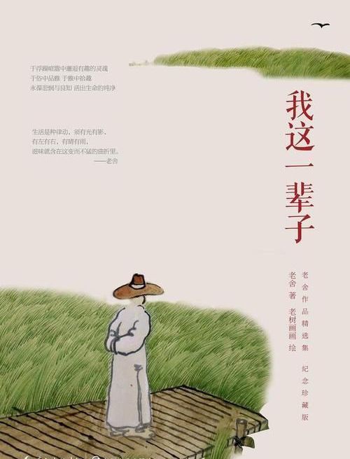 我这一辈子——老舍中短篇小说选