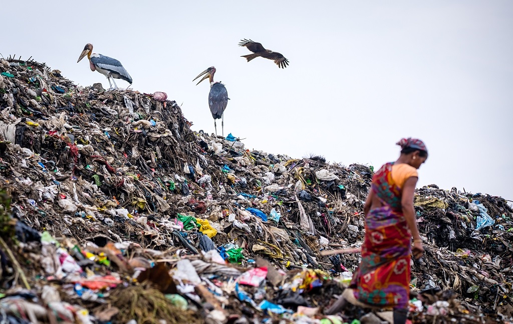 印度的超巨型垃圾场,贫民直接在这里生活,网友:好可怜