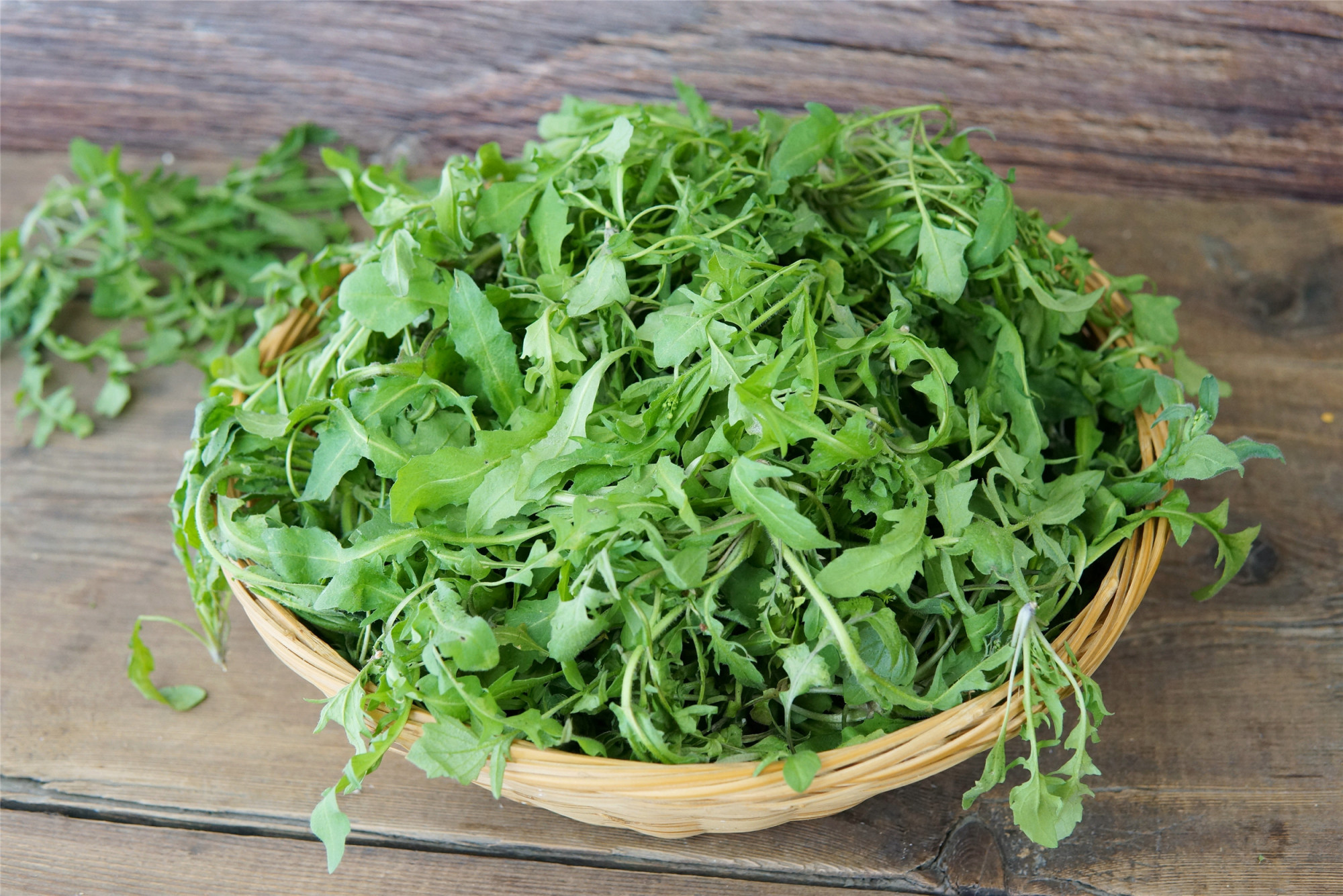 春天挖野菜,碰上就要采摘的8种,一个比一个鲜,省买菜钱了