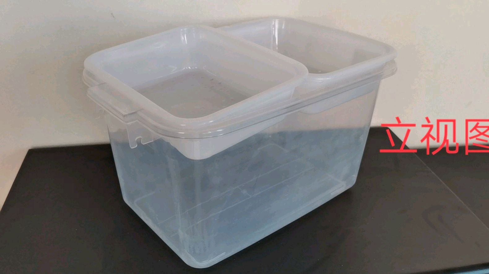 种子发芽盒图片展示