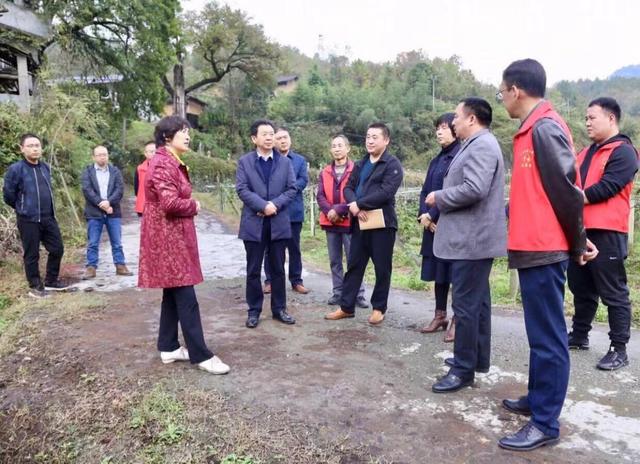 安康市人大常委会副主任马孝芳一行到平利县调研脱贫攻坚工作