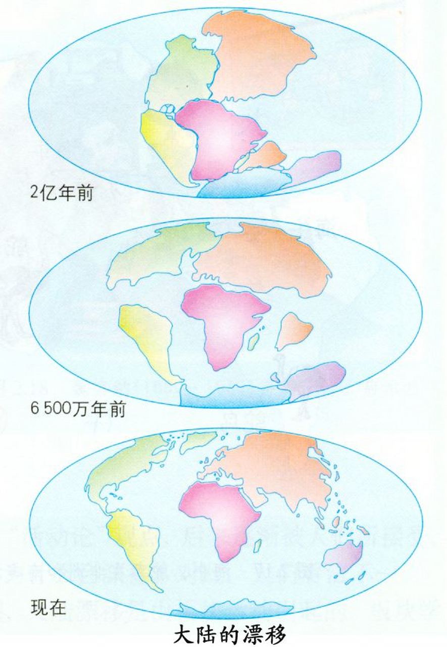 地球板块漂移历史图片