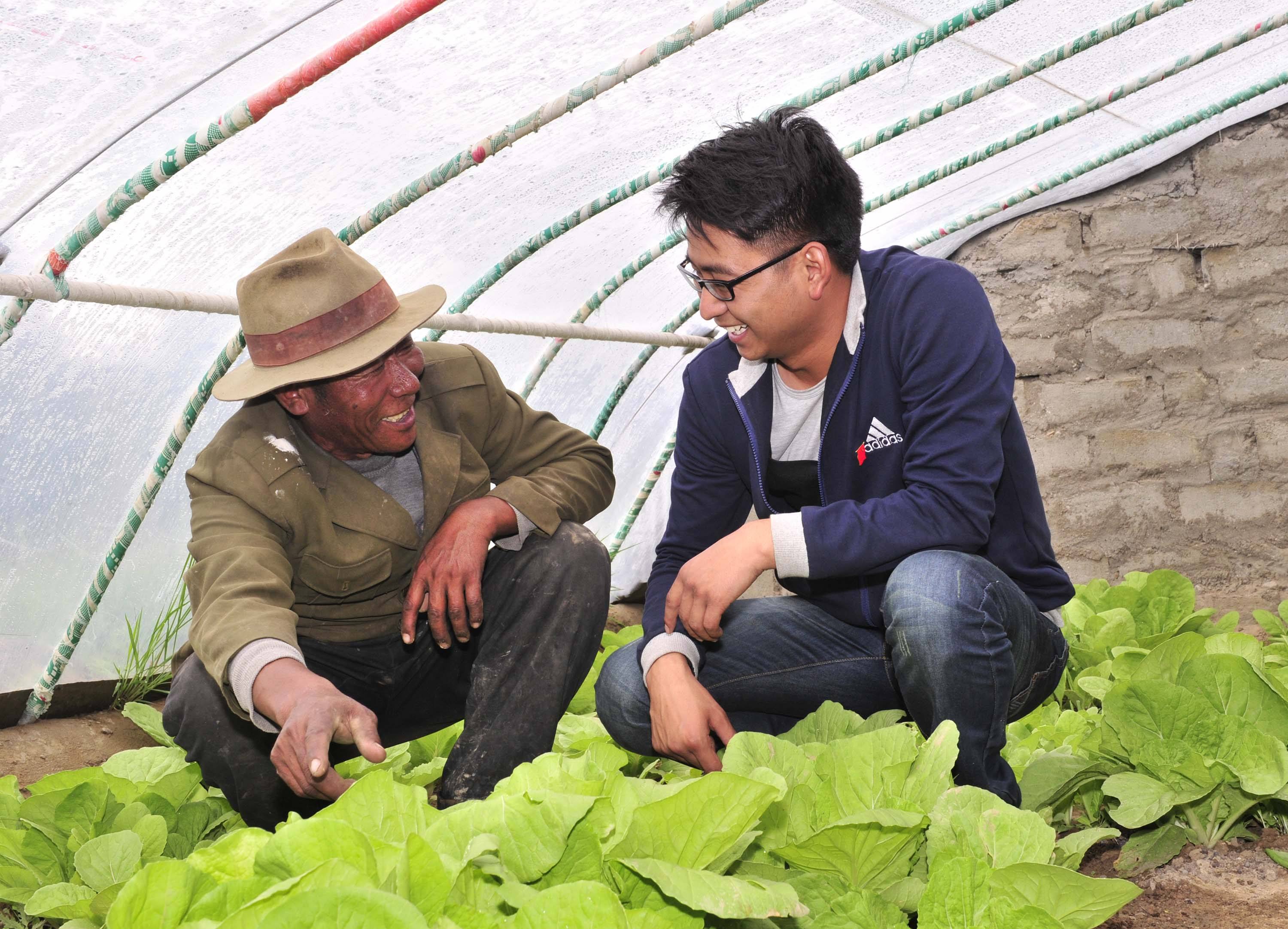 建议尽快出台大学生村官后续管理政策