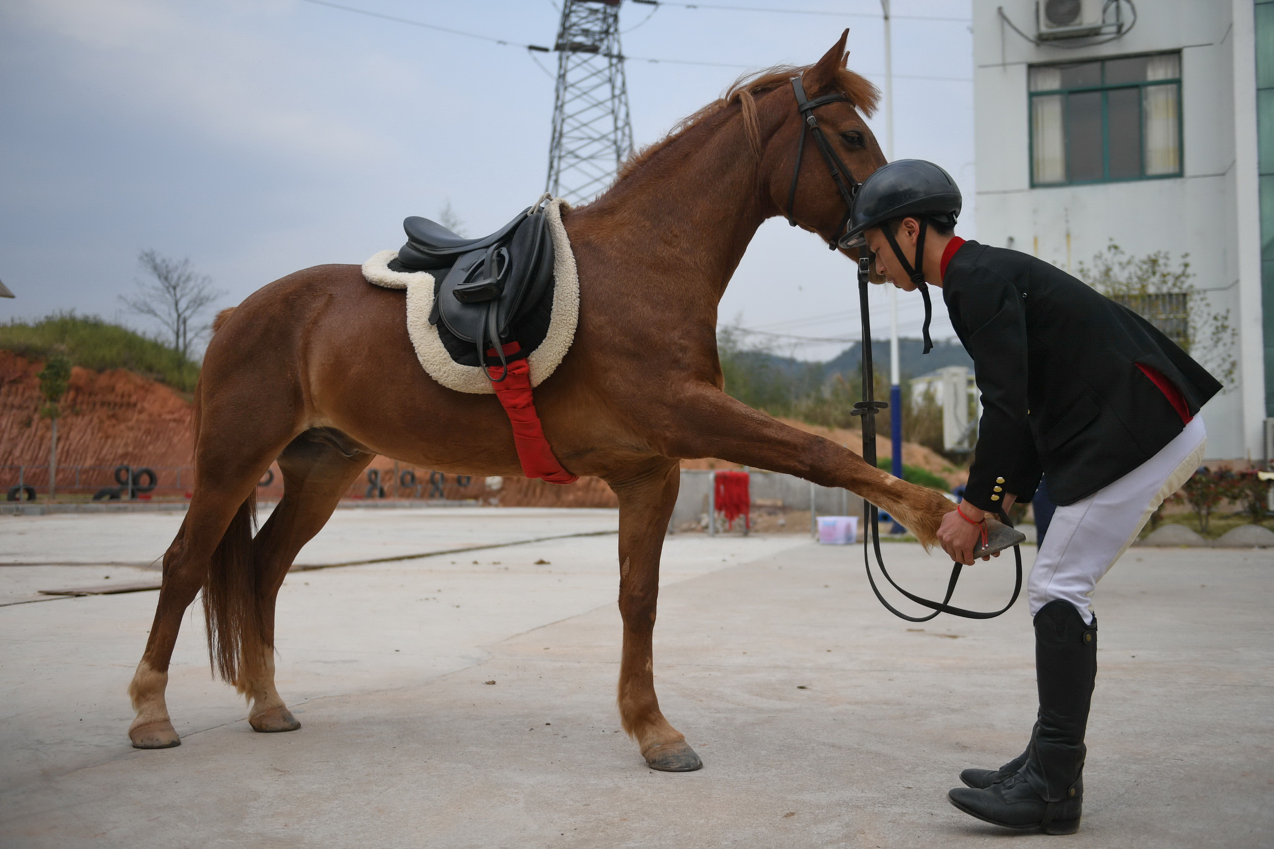 奔跑吧!马背上的乡村少年(17)