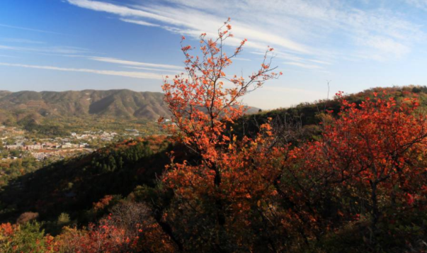 香山公园,一座文化底蕴丰富的皇家园林