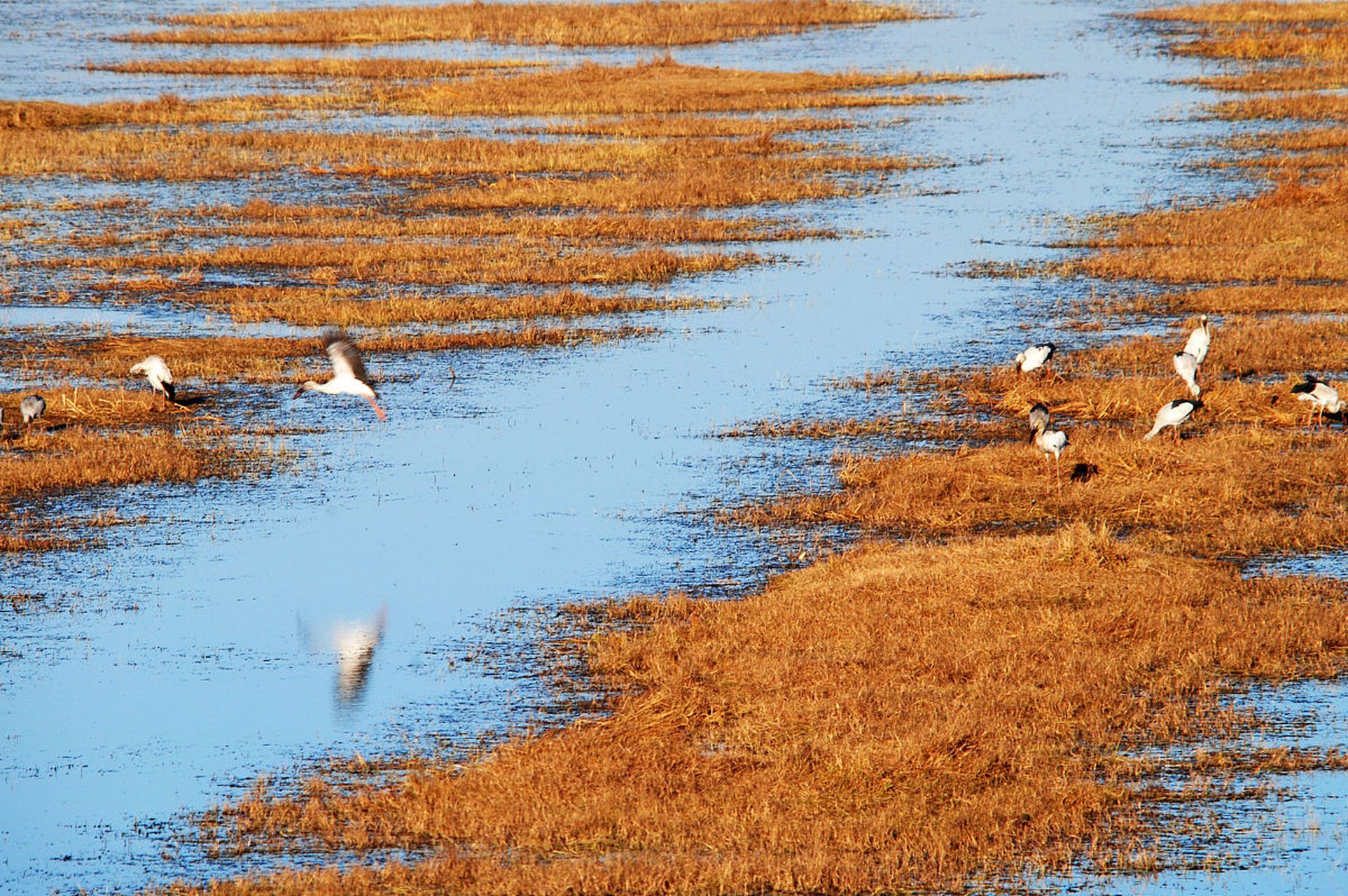 如果,人人都想避风,港湾匮乏的关系,就一定会变质,破裂,相互仇视.