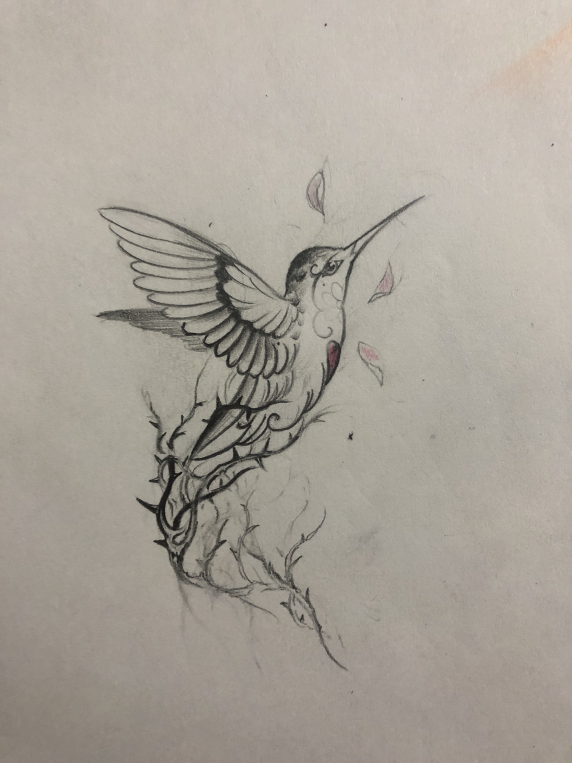 纹身手稿,荆棘鸟纹身图片