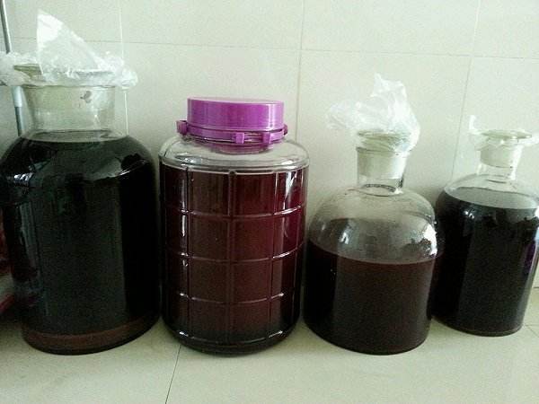 酿葡萄酒时,到底要不要密封?酿酒师:别做错了,不然白忙活了