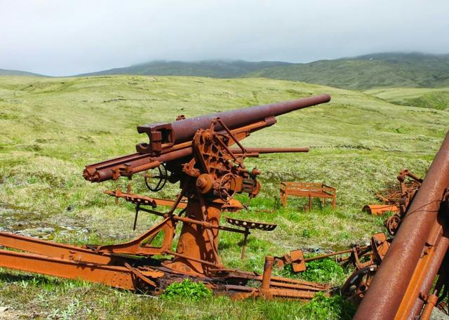 闭门造车的产物,探究日本96式高射炮