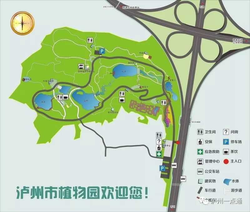 泸州植物园公交车路线图片