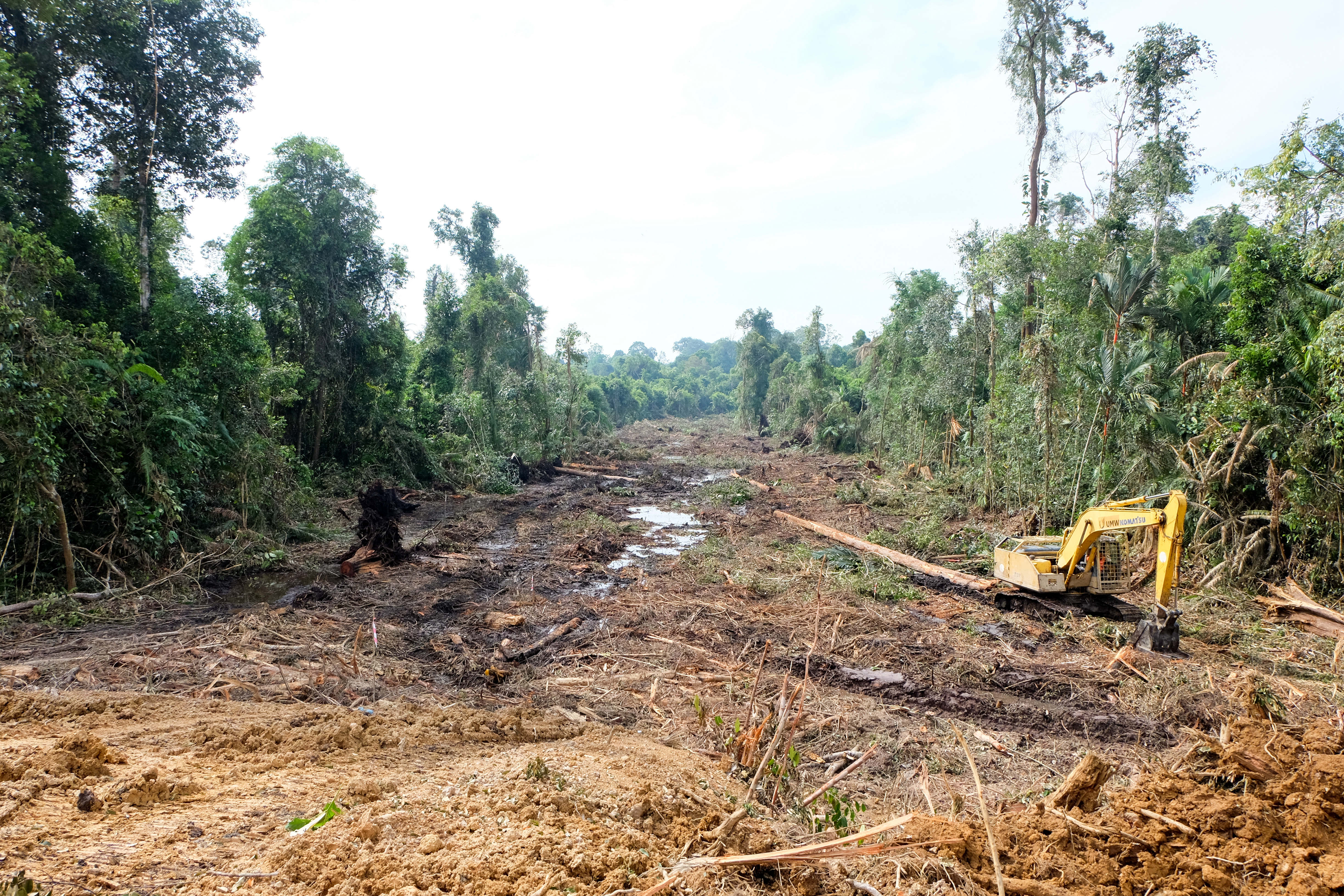 文莱希望借中国技术提升粮食自给率