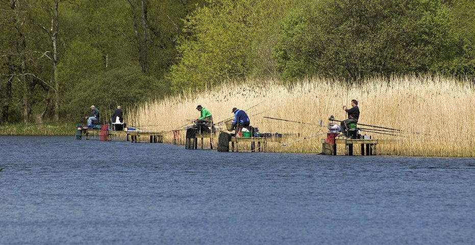 快乐垂钓:溪流鱼的活动规律与合适的垂钓季节