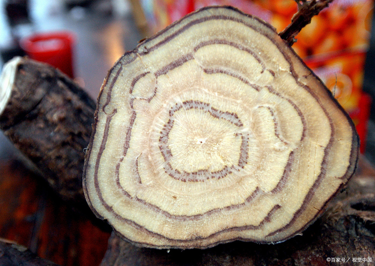 葛根- 热门商品专区