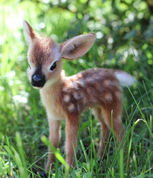 这只小麋鹿,也是比较的呆萌可爱,不管是身上的小斑点,还是鼻子上的小