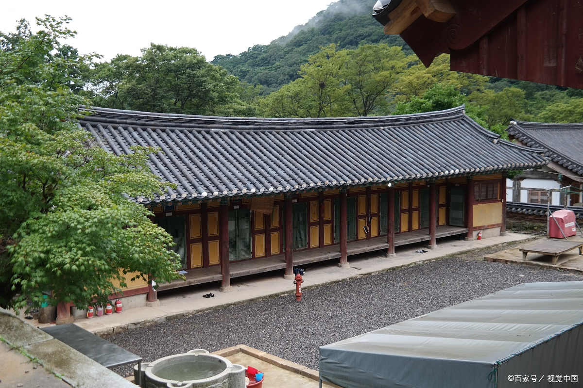 久负盛名的新密金银花与一段伏羲山香峪寺的传说,值得一看