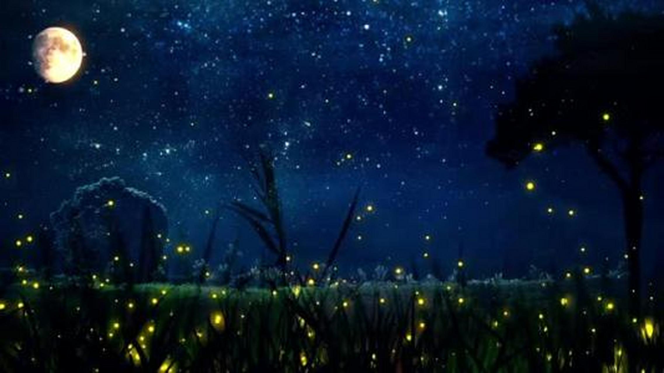 夜晚人们可以看到萤火虫一闪一闪地飞行,这是由于萤火虫体内一种称作