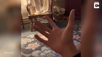 男生炫耀近13厘米超长大拇指 称打游戏特得劲儿