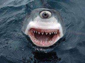 独眼外星人你见过吗?额头正中长着一只目光炯的眼睛