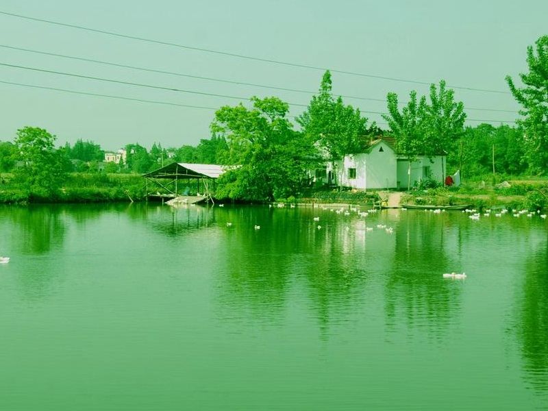 周浦镇:处浦东新区西部,旅游,旅途风光,好看视频