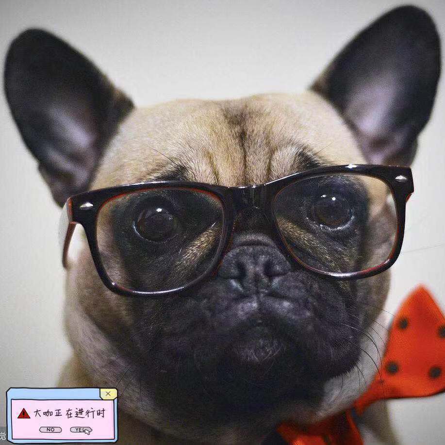 董姝,从主持人到影视演员,不同的经历同样靓丽,精彩