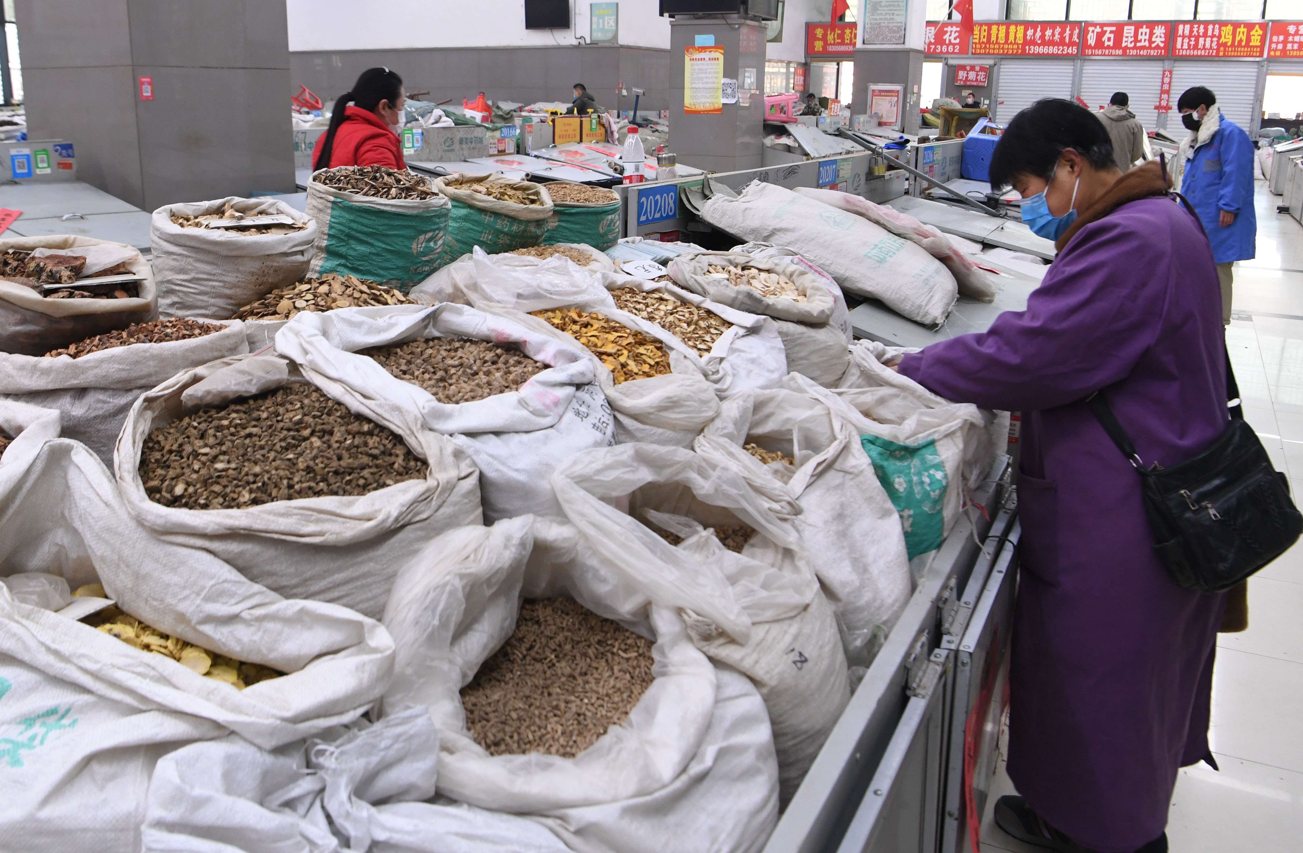 安徽亳州:中药材专业市场有序开市