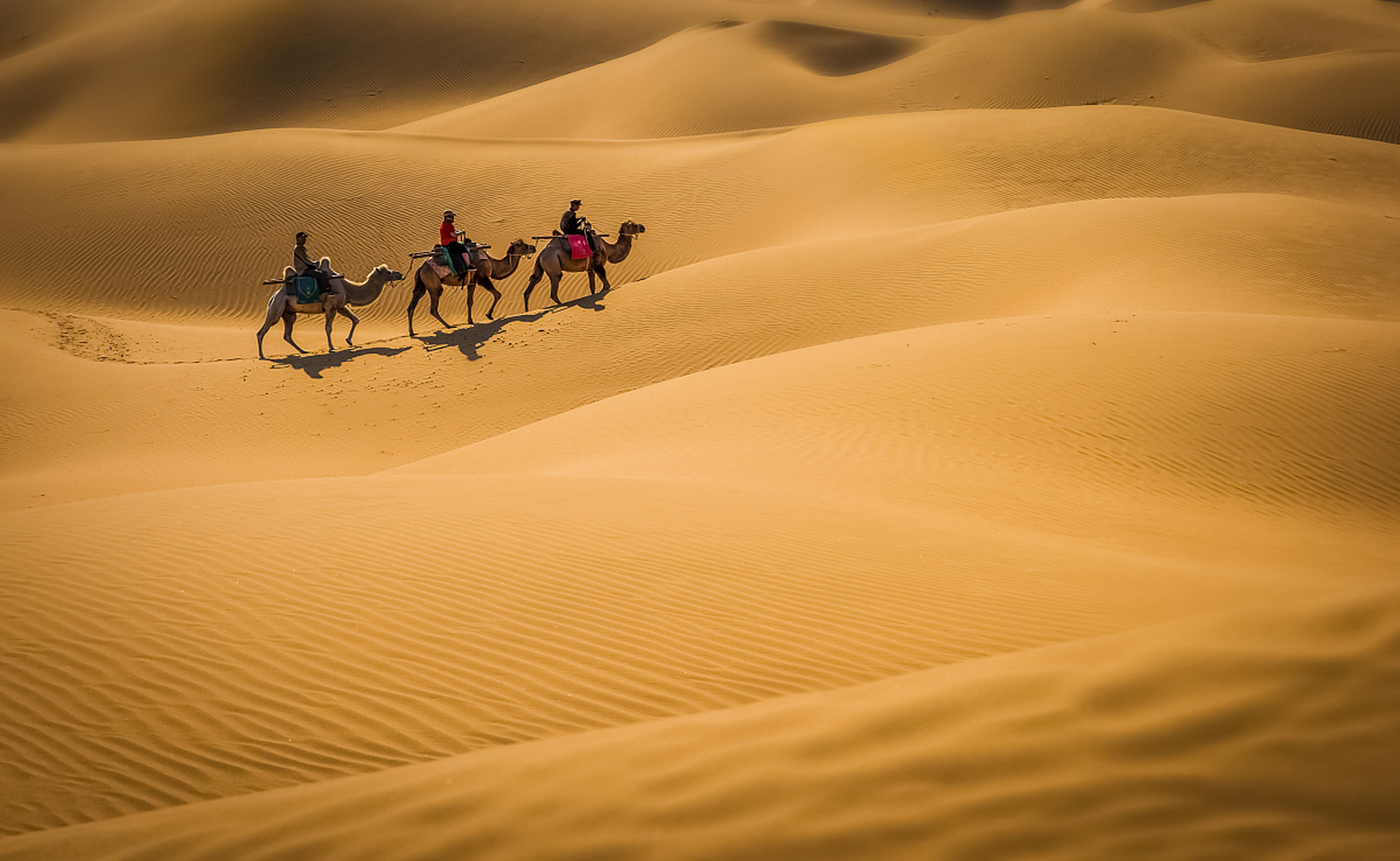 96【这里是腾格里沙漠9815】#国内文旅#  ·位